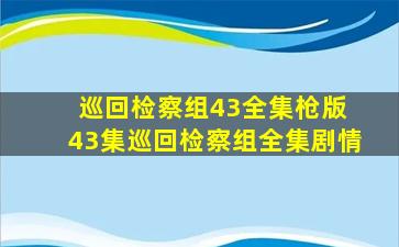 巡回检察组43全集枪版 43集巡回检察组全集剧情